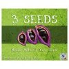 Chara Games 3 Seeds: Reap Where You Sow