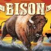 Piatnik Board Games Bison