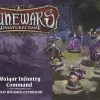 Fantasy Flight Games Runewars Miniatures Game: Waiqar Infantry Command - Unit Upgrade Expansion