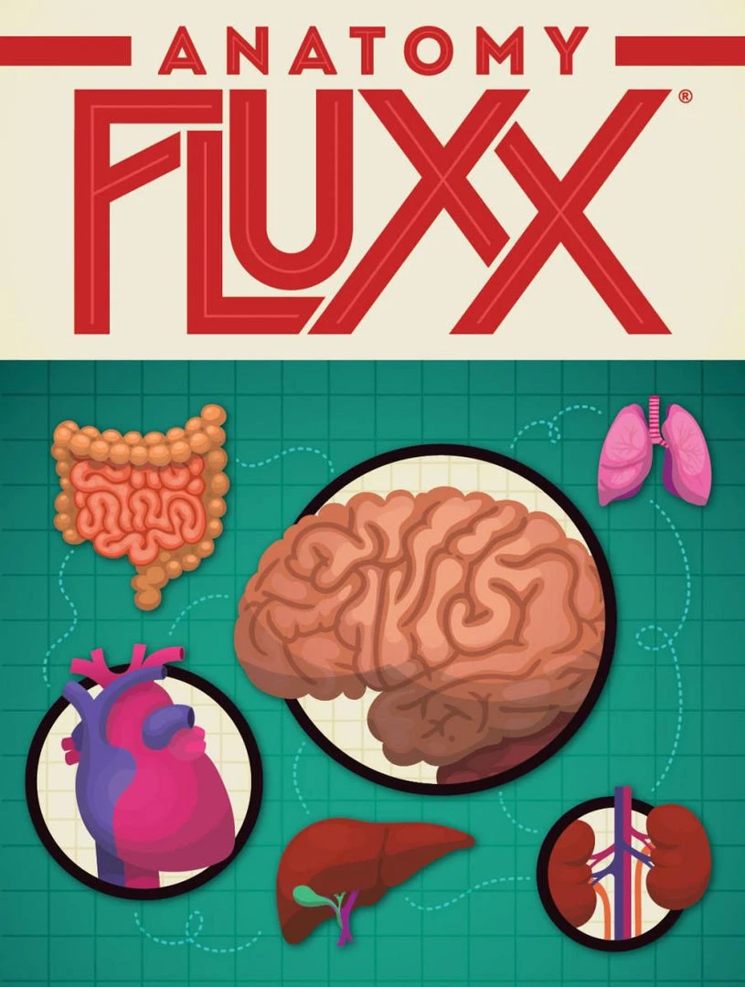 Looney Labs Anatomy Fluxx Board Games 1 Looney Labs Anatomy Fluxx Board Games