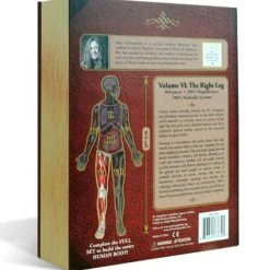 All Sale Items Puzzle - Genius Games - Dr Livingston: Human Right Leg (848 Pieces)
