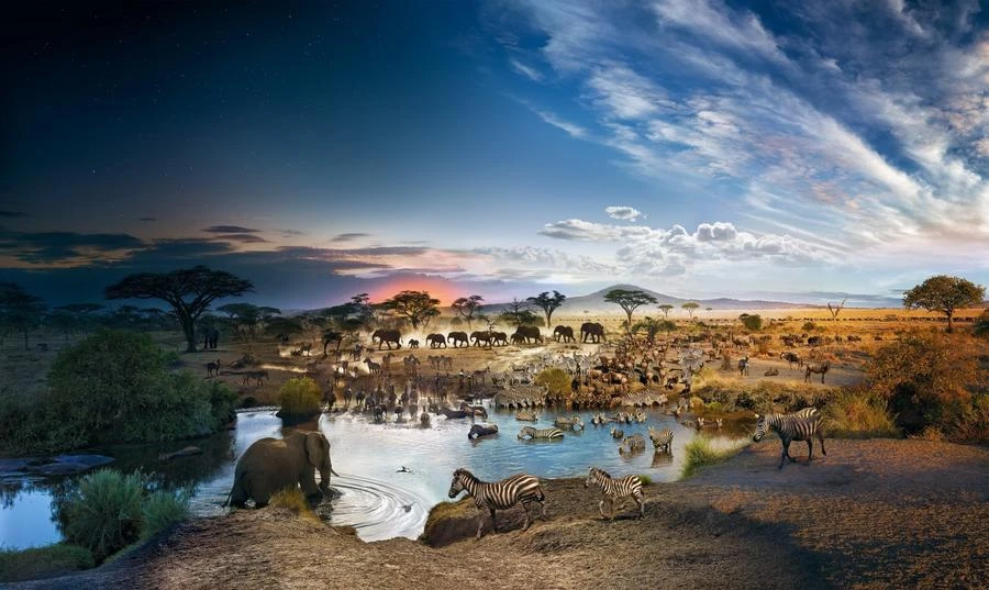 Puzzle - 4D Cityscape - Stephen Wilkes Serengeti National Park, Day To Night (1000 Pieces) May 16-22, 2022 1 Puzzle - 4D Cityscape - Stephen Wilkes Serengeti National Park, Day To Night (1000 Pieces) May 16-22, 2022